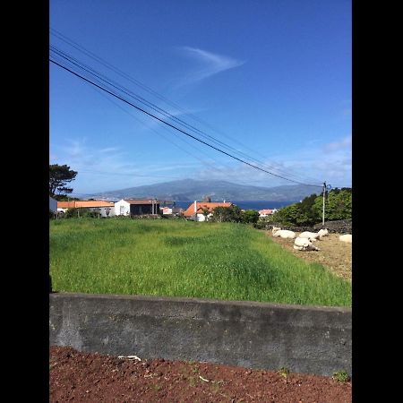 Sunshine House No.2 Madalena (Azores) Exterior foto